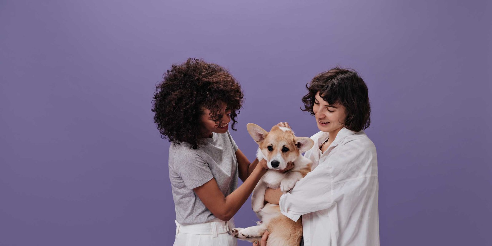 Two women, one with curly hair and the other with short dark hair, are holding a corgi dog in front of a purple background.