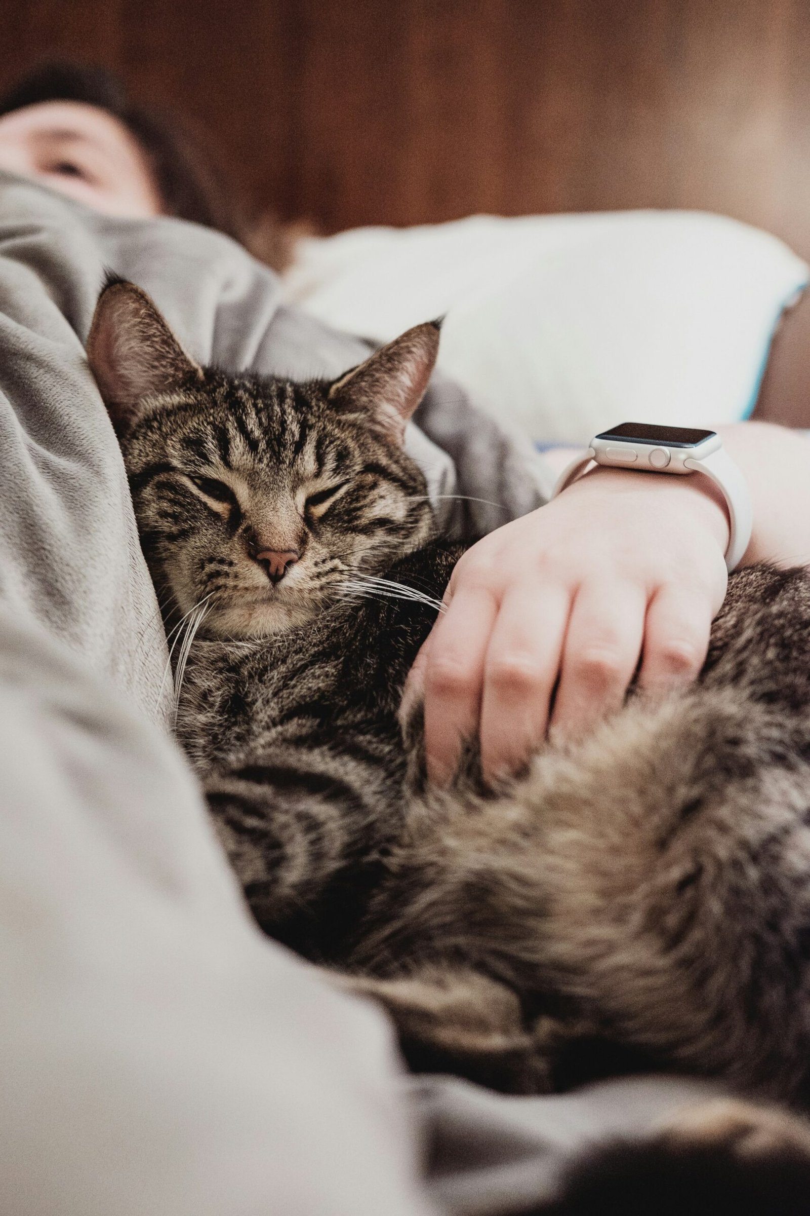 Out of hours vet Newark: a pet owner at home with their cat in the evening